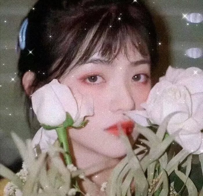 神圣的母牛